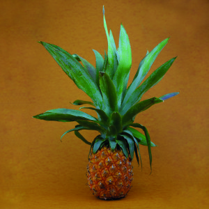 pineapplel_brown