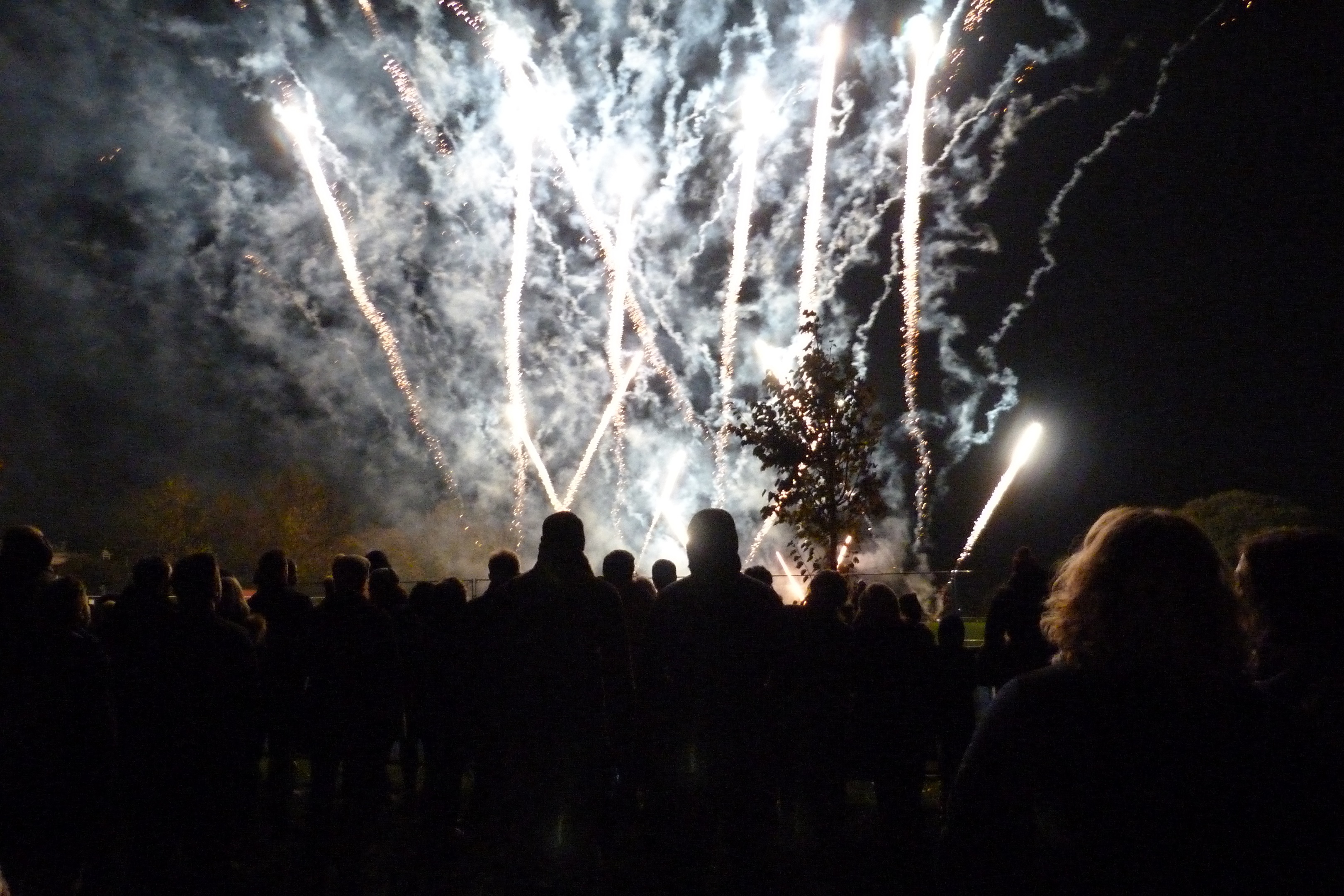 Lambeth Fireworks at Brockwell Park