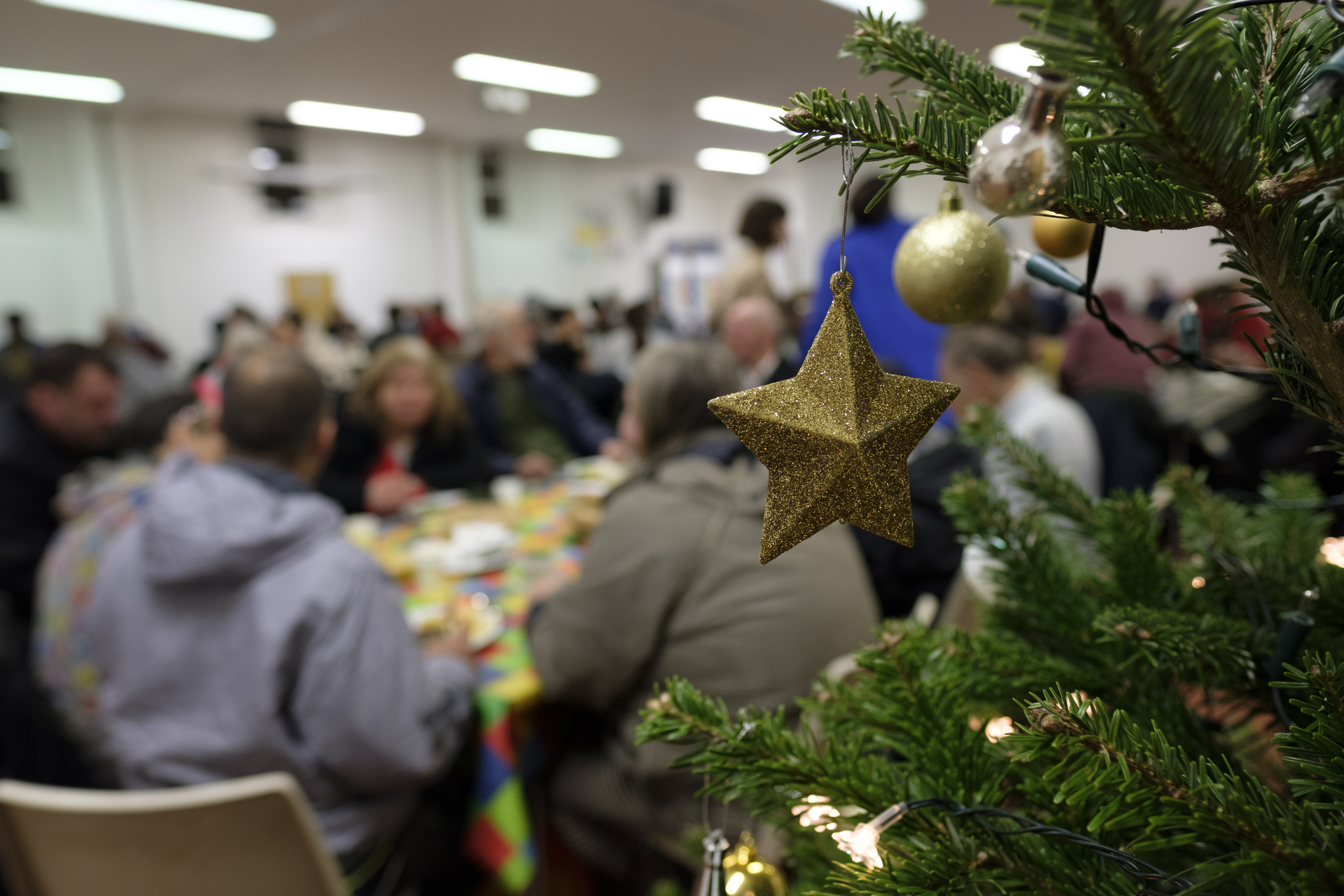 Catford Christmas tree charity aims for biggest year yet