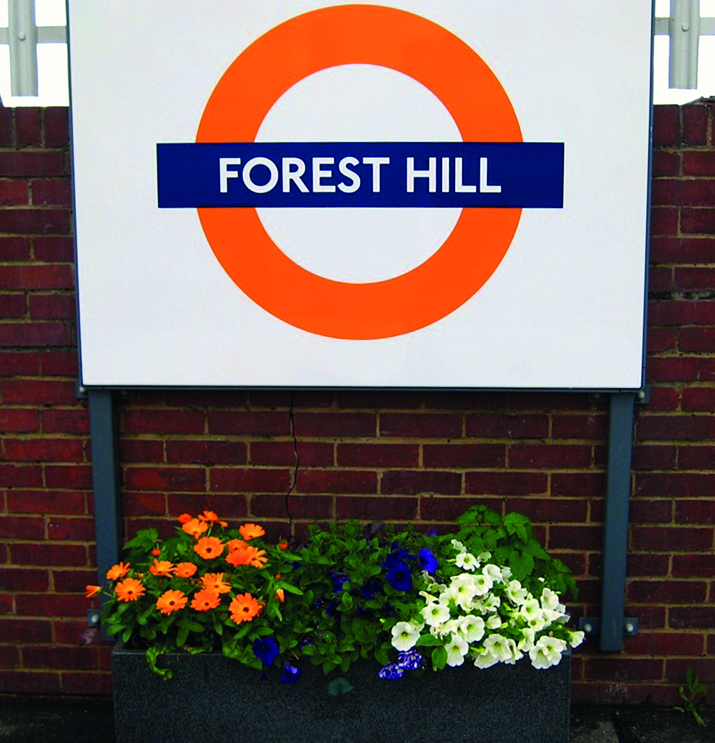 Forest Hill Society Environment Committee