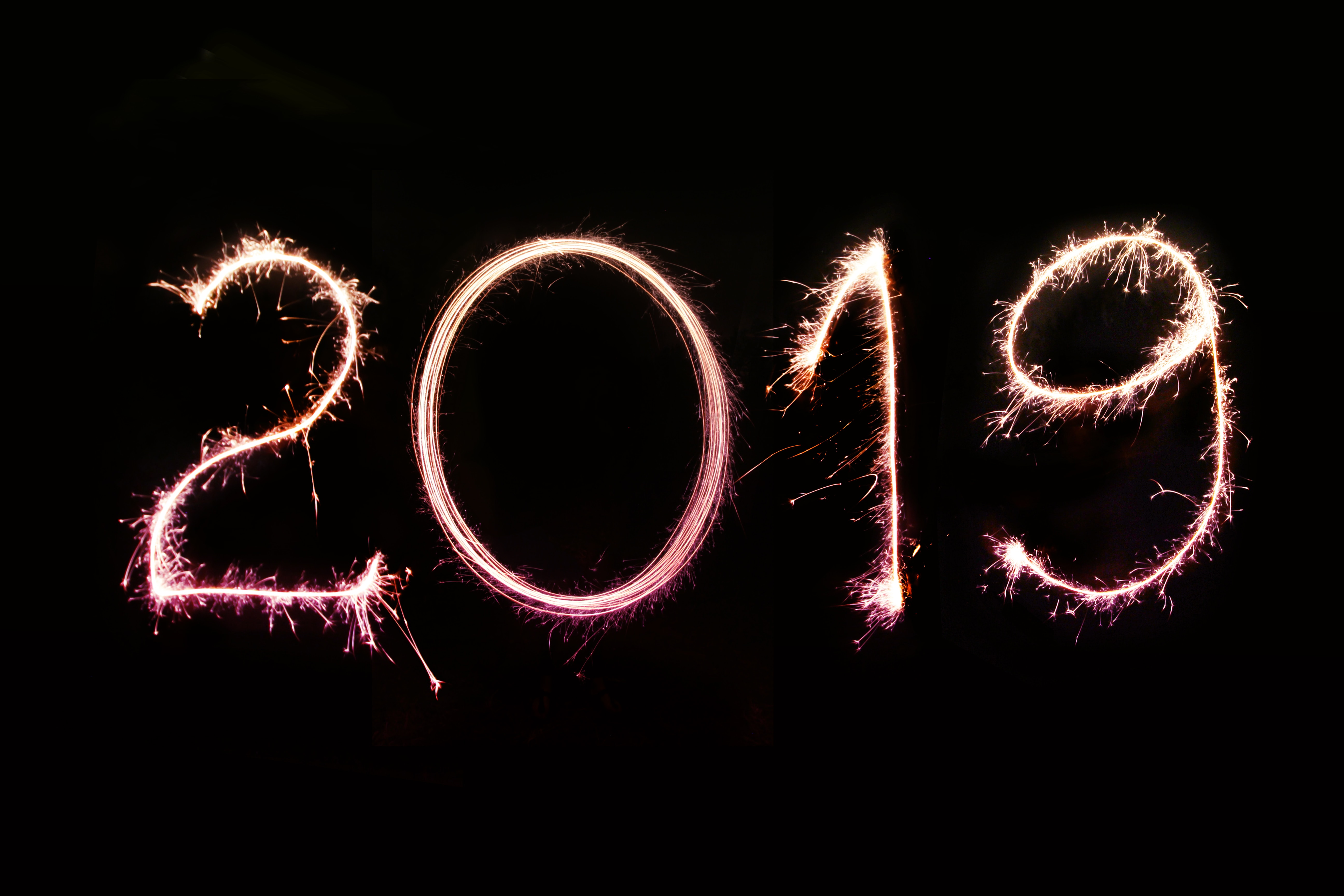 2019… End of Year Review!