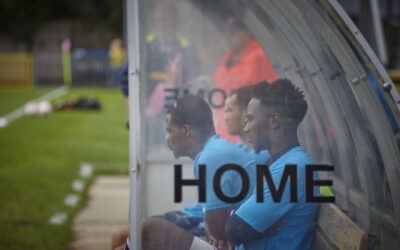 Dulwich Hamlet FC Update