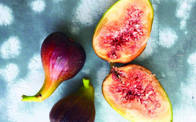 Food & Drink with Suzanne James