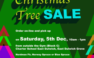 Christmas Tree Sales