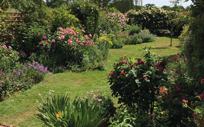 Visit these beautiful Dulwich gardens and support local charity Link Age Southwark