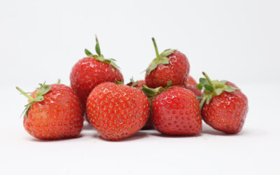 Roasted Strawberries & Elderflower Pana Cotta Recipe