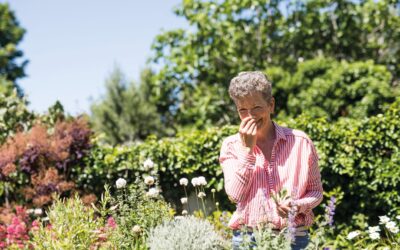 The Last Word – Alice Yeates