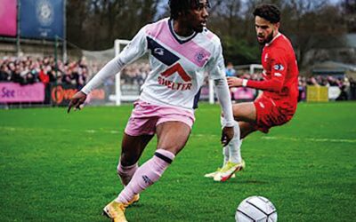 Dulwich Hamlet Football Club Update