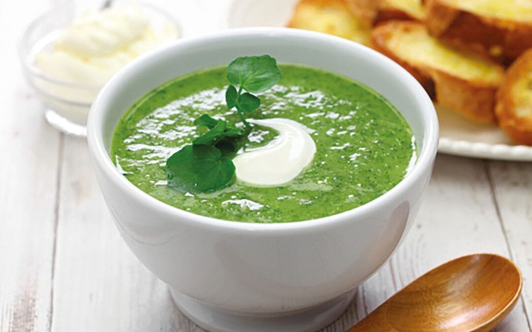 Watercress Soup Recipe – Food & Drink Edition!!