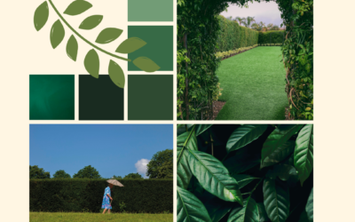 Garden Talk – The Joy of Hedges