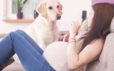 Pets Corner: Dogs & Sprogs part 3 