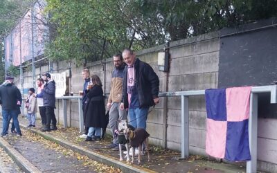 Dulwich Hamlet Football Club