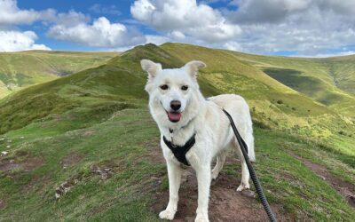 Fitness Tips December