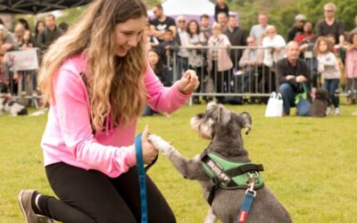 Dulwich Festival Takeover: 12 May 2024