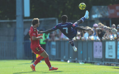 Dulwich Hamlet FC Update