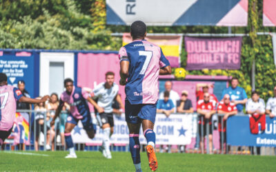 Dulwich Hamlet FC Update