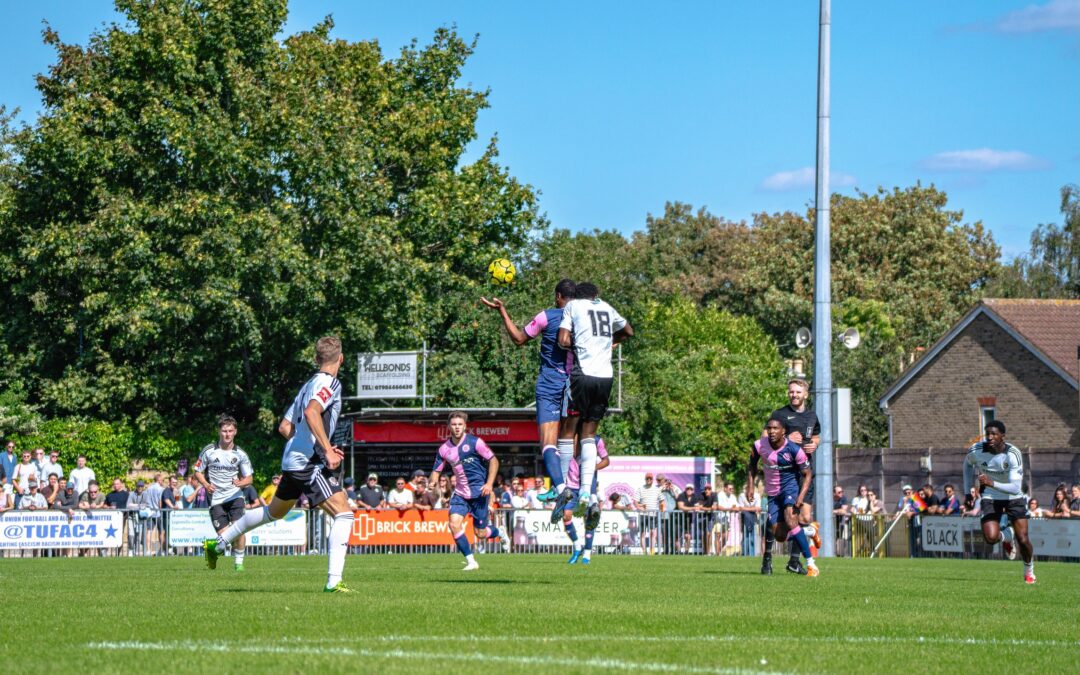 Dulwich Hamlet FC Update